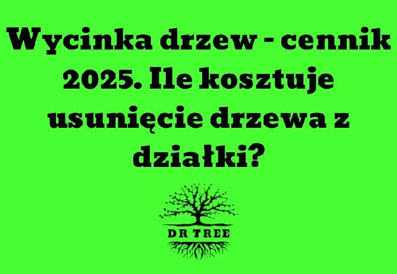Czy potrzebne jest zezwolenie na wycięcie drzewa — sprawdź, jak uniknąć kary