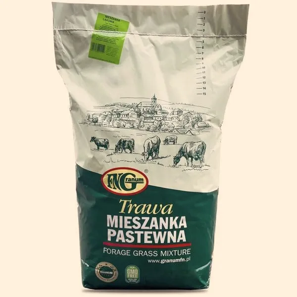 Jaka trawa do renowacji trawnika: jak wybrać mieszankę idealną