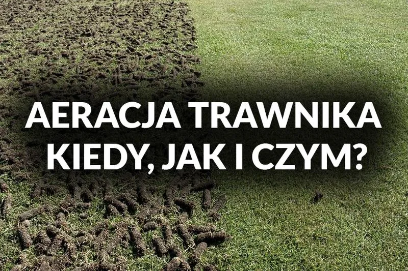 Aeracja trawnika