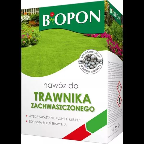 Chwasty na trawniku