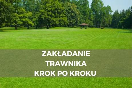 Gatunki trawy
