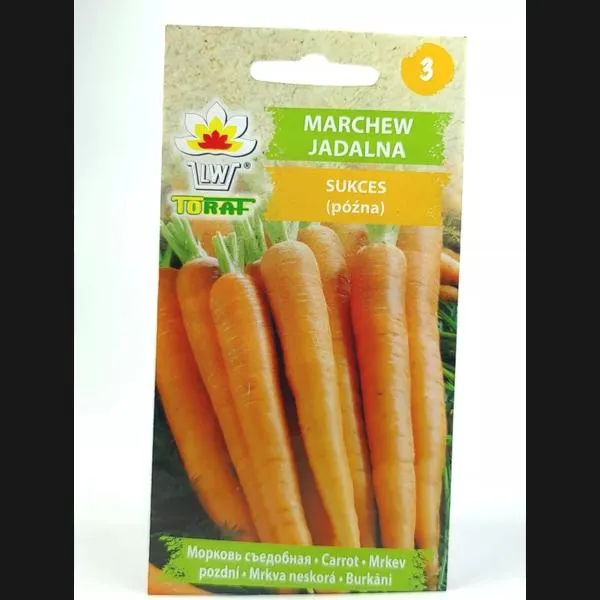Mrożenie marchewki na zimę