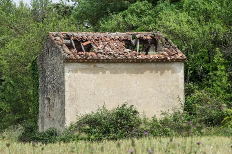 Wysokość odszkodowania